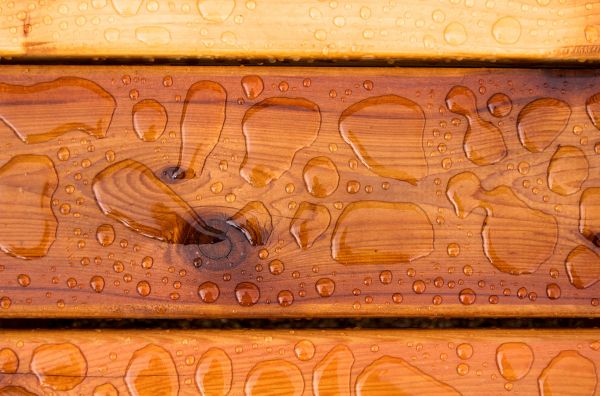 Grow your Pool Deck Sealing business