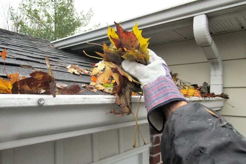 Gutter Pine Needle Removal in Morris County, NJ